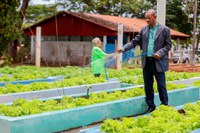 MDS lança edital para mapear experiências em agricultura urbana e periurbana nos serviços de saúde e assistência social