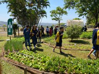 MDS lança o “1° Prêmio Agricultura Urbana” voltado a iniciativas de promoção da alimentação saudável e da segurança alimentar e nutricional