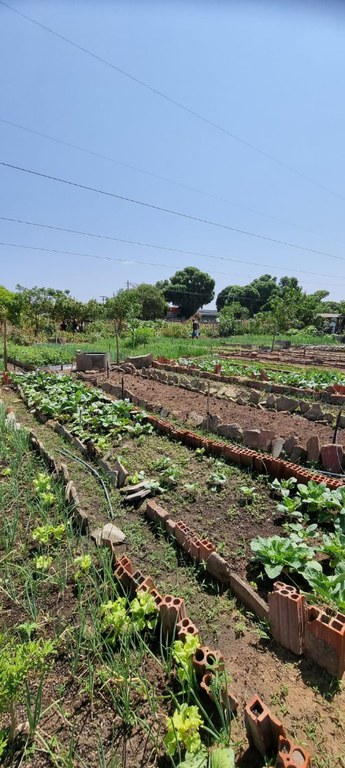 WhatsApp Image 2024-10-18 at 12.22.29.jpeg