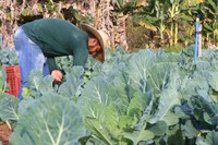 MDS, MMA e MDA se unem para elaborar Plano Nacional da Sociobioeconomia