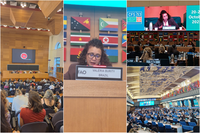 MDS participa de evento global sobre segurança alimentar e nutricional na FAO