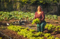 MDS participa de reunião sobre regulamentação da Lei Paul Singer de Economia Solidária
