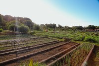 MDS promove oficina sobre políticas públicas de segurança alimentar para comunidades tradicionais no Amapá