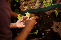 MDS prorroga prazo do edital para municípios interessados em executar o Programa de Aquisição de Alimentos (PAA)