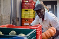 MDS publica edital para modernização de bancos de alimentos