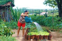 MDS publica portarias do PAA no valor de R$ 152 milhões para compra e doação de alimentos da agricultura familiar