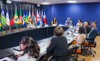 MDS realiza a primeira reunião do GT de Cooperação Acadêmica em apoio à Aliança Global