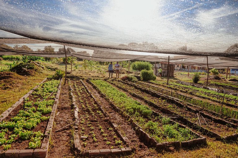 Foto: Danillo França / MDS