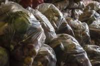 Ministério da Cidadania inaugura Banco de Alimentos em Itapipoca (CE)