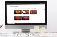 Ministério da Cidadania lança cinco novos Recursos Educacionais Digitais