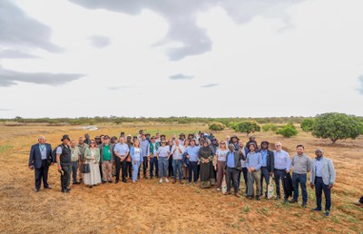 Fotos: Roberta Aline/MDS