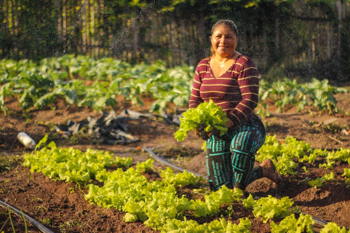 Fomento Rural, PAA e Programa Cisternas garantem acesso a renda, produção de alimentos e autonomia econômica para as agricultoras