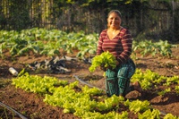 Mulheres chefiam maioria das famílias atendidas pelos programas sociais em regiões rurais