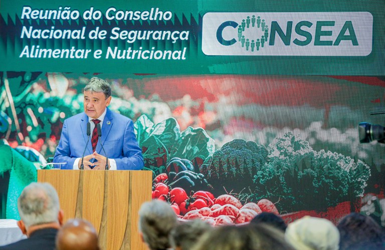 WhatsApp Image 2025-08-05 at 17.56.30.jpeg