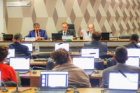 No Senado, Wellington Dias defende superação da pobreza como caminho para erradicar a fome no Brasil