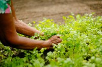 O Fórum Rural Mundial junta-se à Aliança Global  para defender os agricultores familiares na luta contra a fome e a pobreza