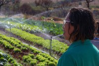PAA adquire e distribui mais de 2,15 mil toneladas de alimentos em março