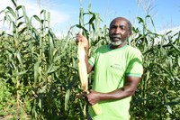 PAA e PAS: programas ajudam a reduzir a fome de 140 mil famílias no Piauí