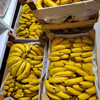 PAA vai garantir 63 toneladas de alimentos saudáveis para população de São Paulo  em vulnerabilidade