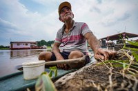 Pagamento unificado do Bolsa Família contempla Amazonas, Amapá e Paraná