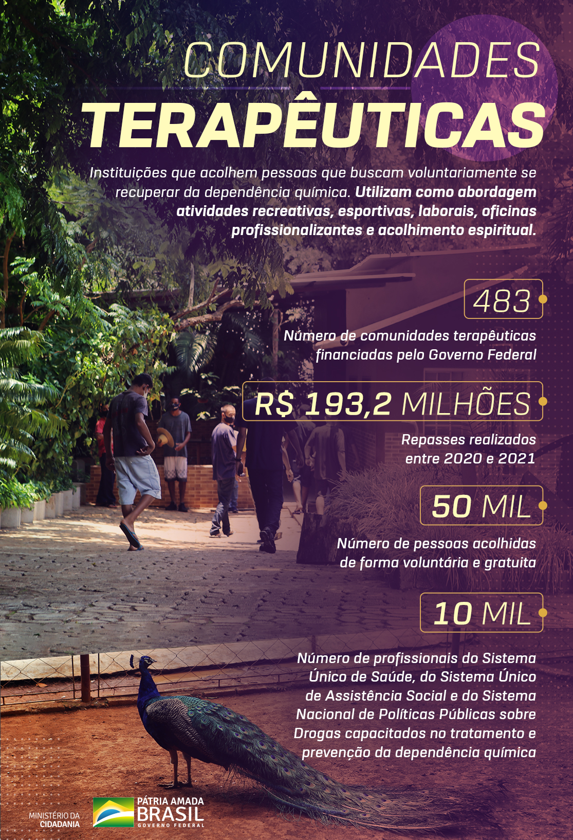infografico_comunidades_terapeuticas_corrigido.jpeg