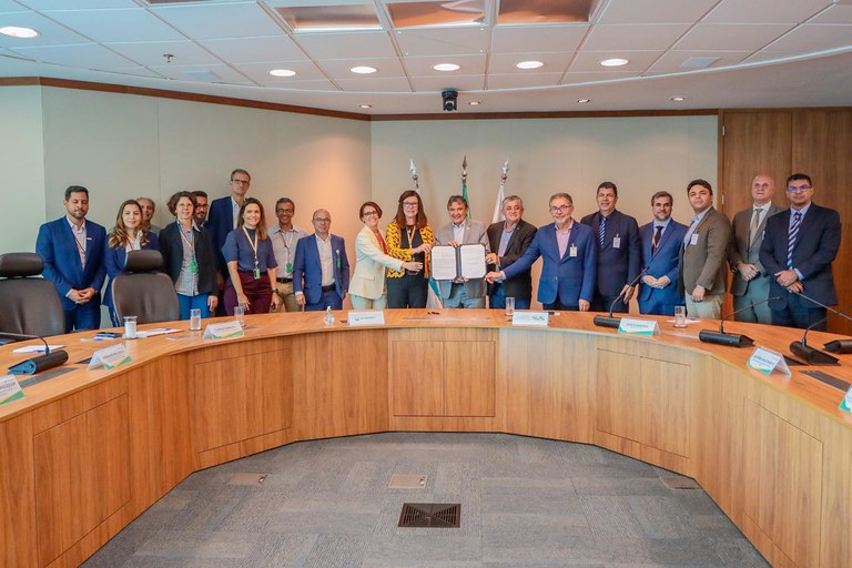 Fotos: Roberta Aline / MDS 