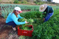 Plataforma socialprotection.org e UNRISD se unem oficialmente à Aliança Global Contra a Fome e a Pobreza