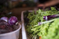 População vulnerável de Itapipoca (CE) ganha equipamento de coleta e distribuição de alimentos