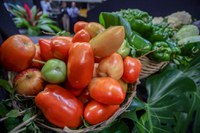 Populações indígenas no Acre terão R$ 4 milhões para fornecer e receber alimentos saudáveis via PAA