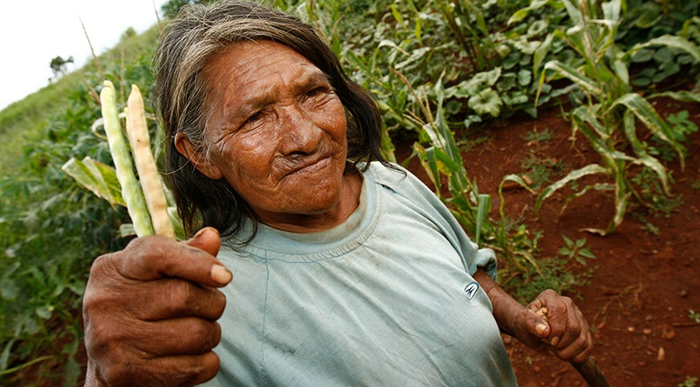 CensoAgro_HOME_FUNAI.jpg