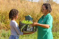 Prêmio Brasil Sem Fome tem inscrições prorrogadas até 11 de agosto