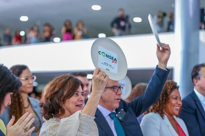 28_02_Consea_MDS_foto_Roberta_Aline (5).jpeg