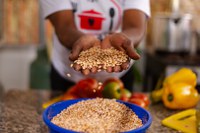 Programa Cozinha Solidária abre prazo para credenciamento de novas entidades gestoras