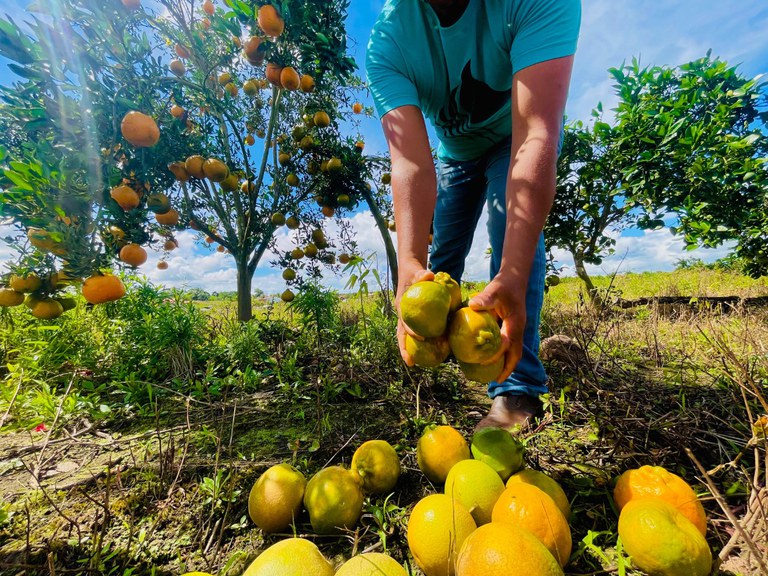 WhatsApp Image 2025-09-01 at 19.03.27 (1).jpeg