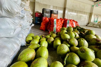 WhatsApp Image 2025-09-01 at 19.03.27.jpeg