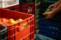 Queda da inflação de alimentos garante segurança alimentar dos brasileiros, destaca Wellington Dias