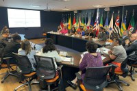 Reunião do Pleno Executivo da Caisan tem a criação de cinco grupos temáticos