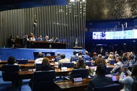 Sessão especial no Senado celebra 33 anos da Conab, parceira do MDS no combate à fome