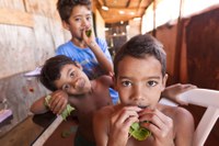 Sistema Nacional de Segurança Alimentar e Nutricional ganha adesão de novos municípios