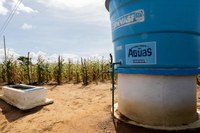 Uso de tecnologias na agricultura familiar contribui para maior produção do setor, afirma Wellington Dias