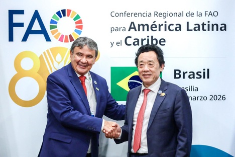 (Foto: Roberta Aline / MDS))