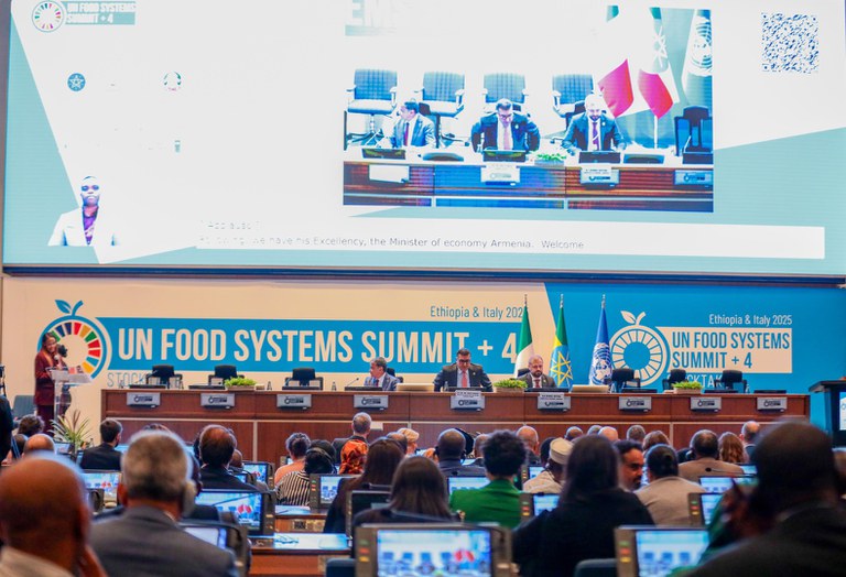 Foto: Roberta Aline / MDS 