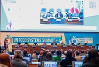 Wellington Dias destaca COP30 e avanços no combate à fome em encerramento de Cúpula da ONU