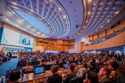 WhatsApp Image 2025-07-29 at 16.16.33 (1).jpeg