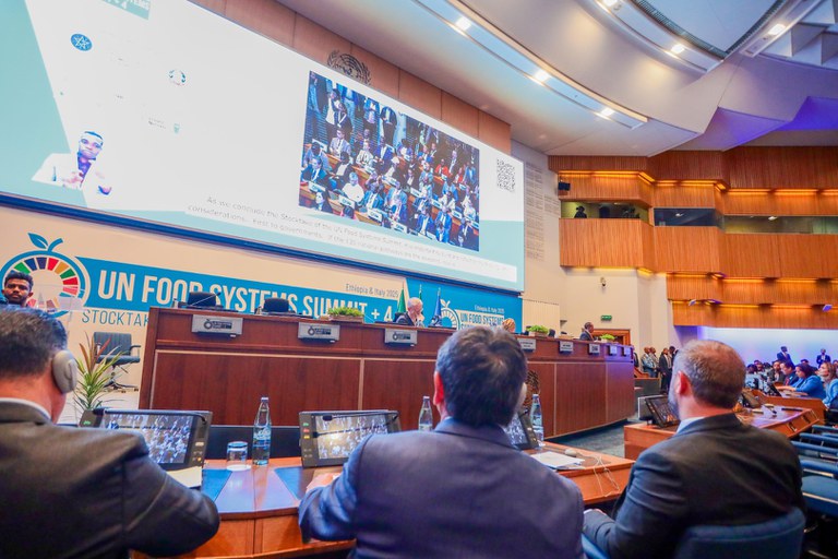 WhatsApp Image 2025-07-29 at 16.16.33.jpeg