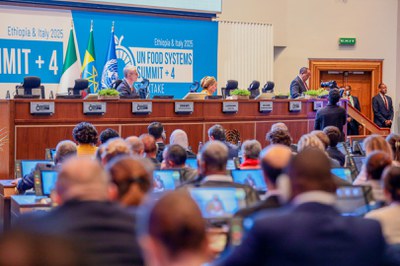 WhatsApp Image 2025-07-29 at 16.16.34.jpeg