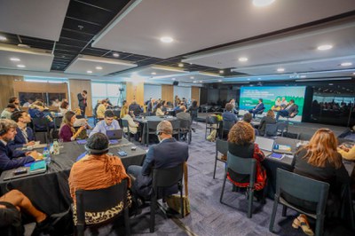 Foto: Roberta Aline/MDS