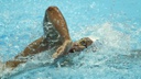 natacao3FotoSatiroSodrrededoesporte.gov.br.jpg