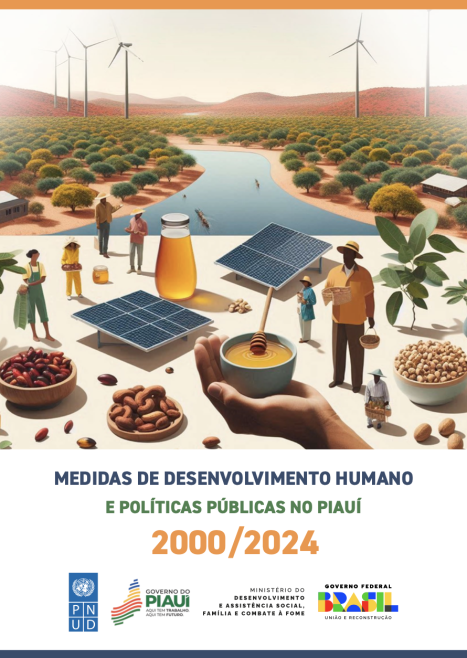 Medidas de Desenvolvimento Humano e Políticas Públicas no Piauí 2000/2024