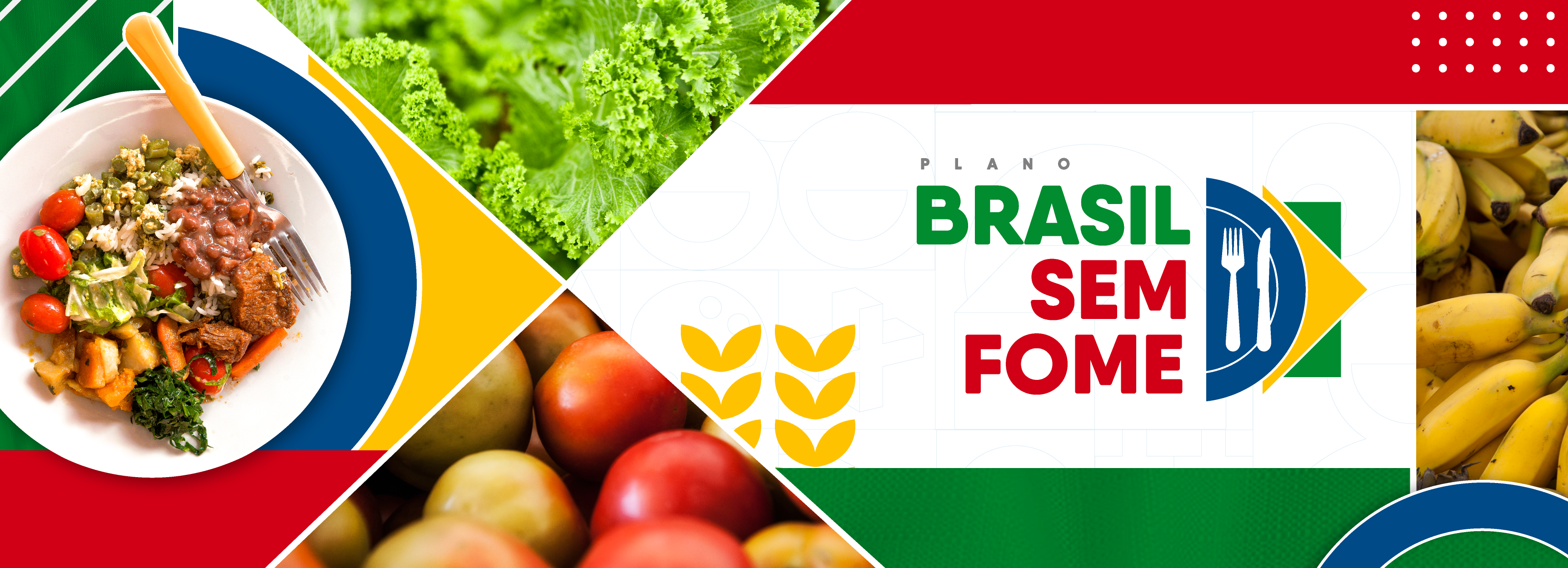 Banner do Programa Brasil sem Fome